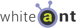 whiteant
